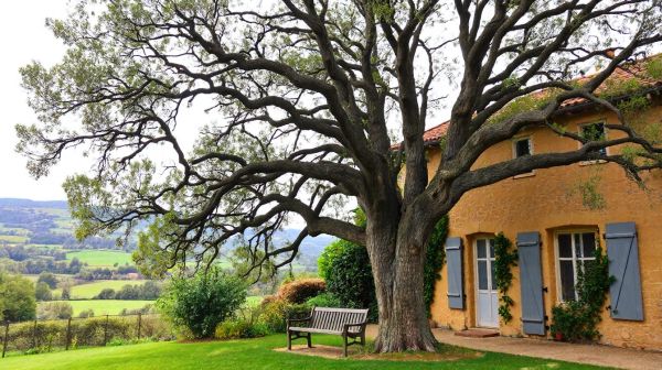 5 astuces pour transformer votre maison en Normandie