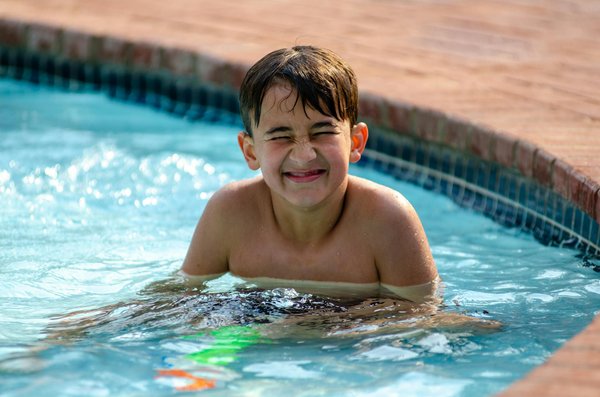 Chien détecteur de punaises de lit : tarifs selon votre logement