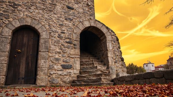 Guide pratique pour choisir un box à Carcassonne au meilleur tarif